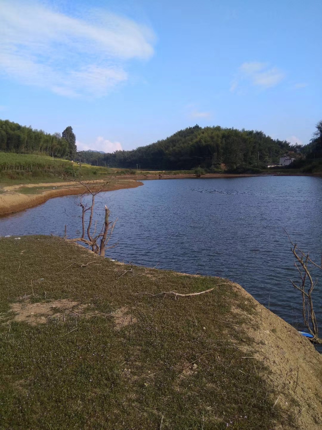 高山水库野钓鲤鱼,高山水库野钓