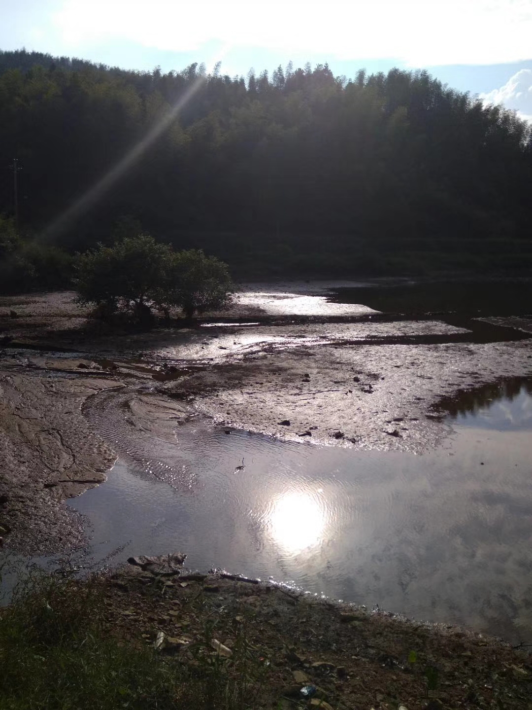 高山水库野钓鲤鱼,高山水库野钓
