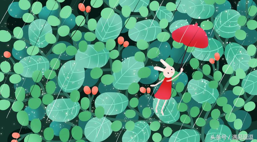 老公的姐姐在微信骂我，说养只猪狗都比养我好