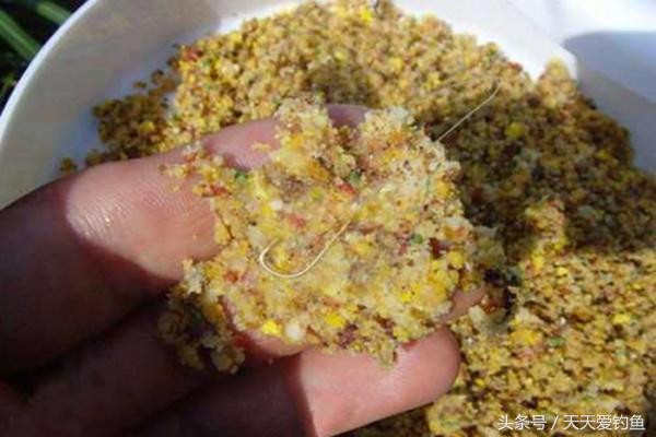 冬天用酒米打窝还是窝料打窝,玉米打窝好还是固体窝料打窝好