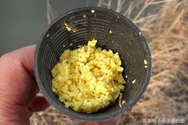 冬天用酒米打窝还是窝料打窝,玉米打窝好还是固体窝料打窝好