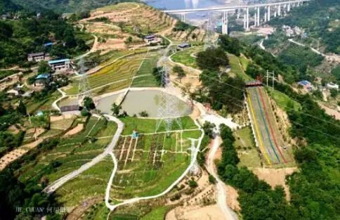 重庆风景让人一看心旷神怡的地方,秋日游重庆这里的景色别样好