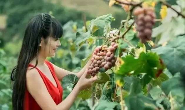 重庆风景让人一看心旷神怡的地方,秋日游重庆这里的景色别样好