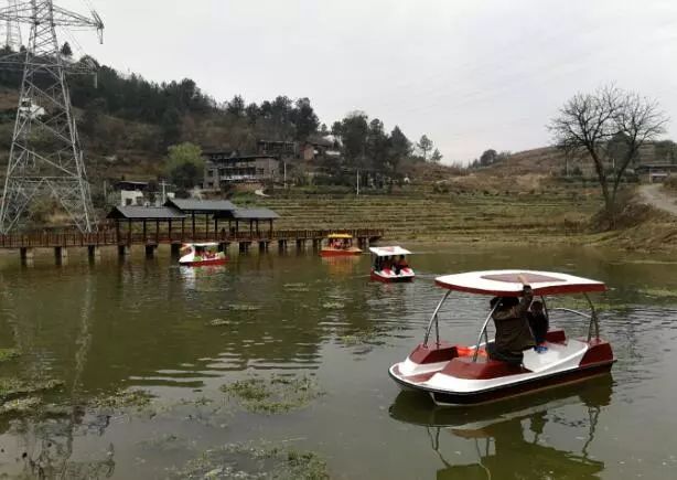 重庆风景让人一看心旷神怡的地方,秋日游重庆这里的景色别样好