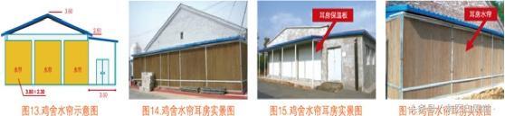 四川鸡场鸡舍怎么搭建最好图片,鸡舍建造全过程详解