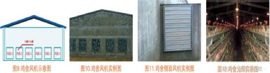 四川鸡场鸡舍怎么搭建最好图片,鸡舍建造全过程详解
