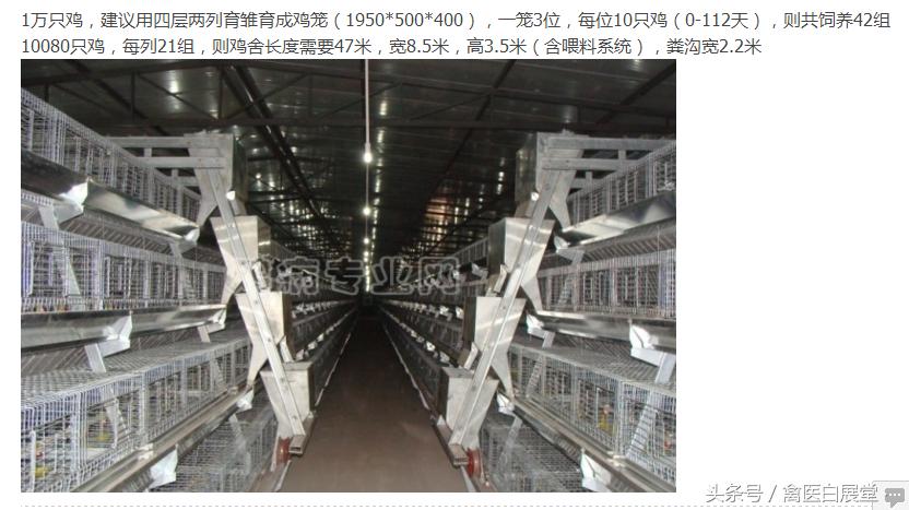 四川鸡场鸡舍怎么搭建最好图片,鸡舍建造全过程详解