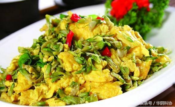 爱吃槐花的一定要收藏,吃槐花有哪些禁忌事项