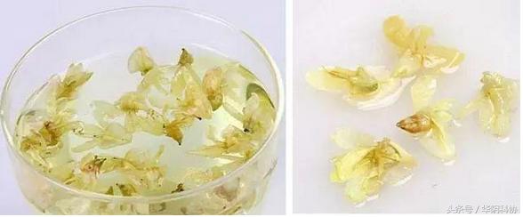 爱吃槐花的一定要收藏,吃槐花有哪些禁忌事项