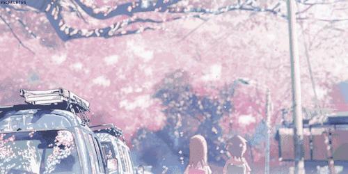 春天唯有樱花不可辜负,春日樱花邂逅粉色浪漫