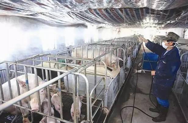 口蹄疫能接连得吗,讲解牛口蹄疫的小妙招