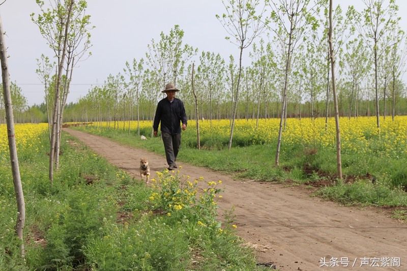 河北石家庄赵县武建波父子两代养蜂，赶花夺蜜一年难得回趟家