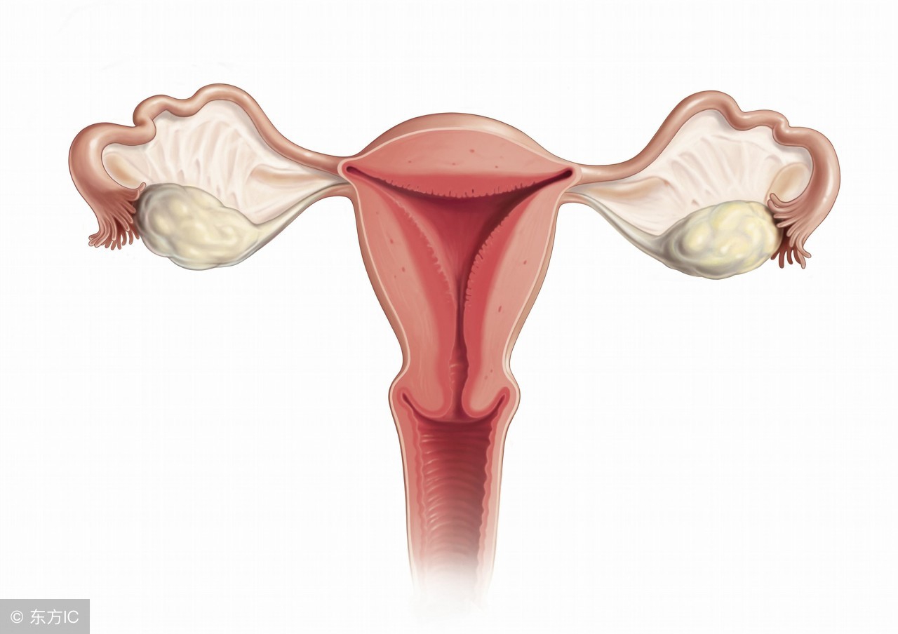 宫颈息肉是因为什么原因生长的,宫颈为什么会有息肉