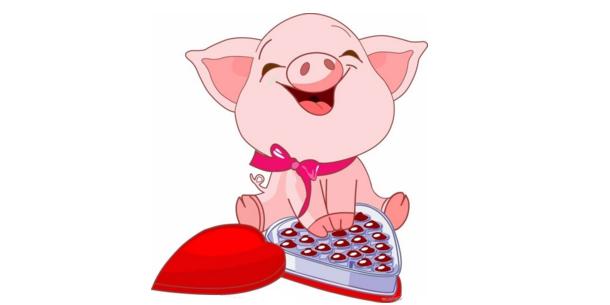 生肖猪人四月份的财运,生肖猪运程逐月运程