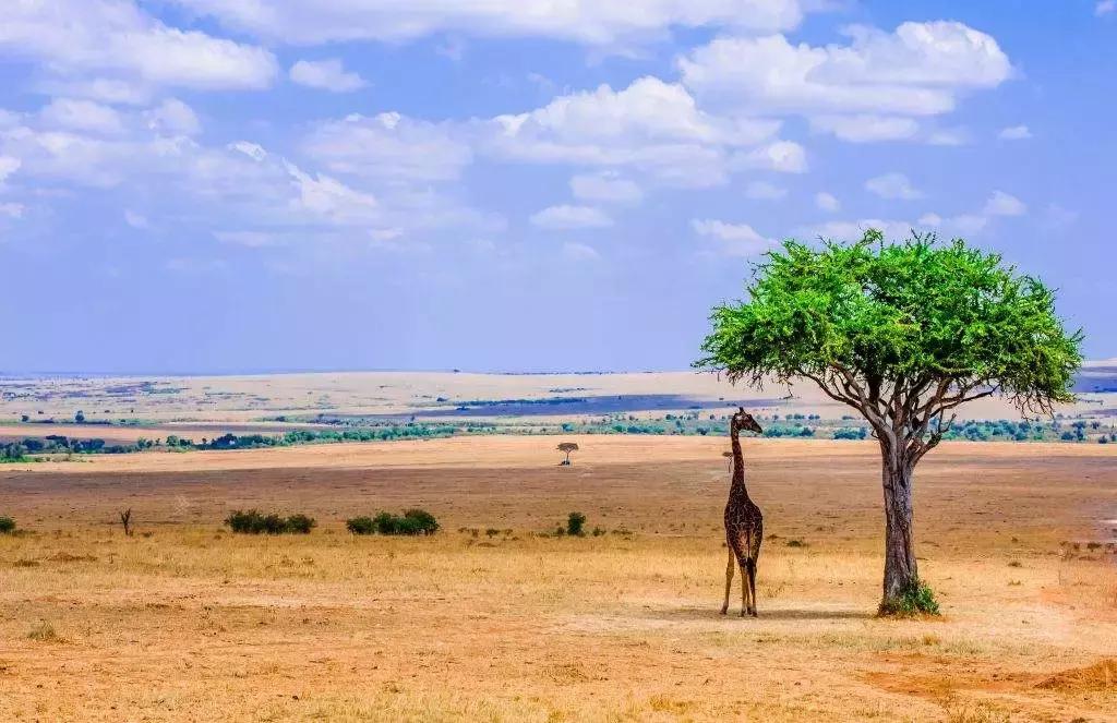 出什么国！来河北就等于来了全世界……