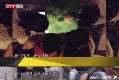 郭京飞爆料雷佳音喝醉后非要下海捞海胆，手被扎得全是刺还不怕死