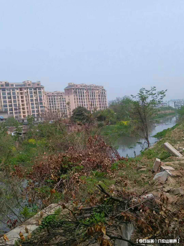 淮南市土坝孜,淮南土坝孜街道划分