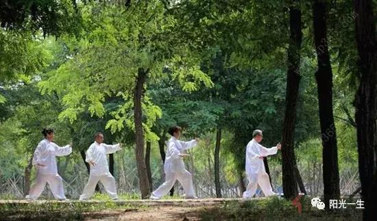 中医养生中的气是指,中医里的肥气指的是什么