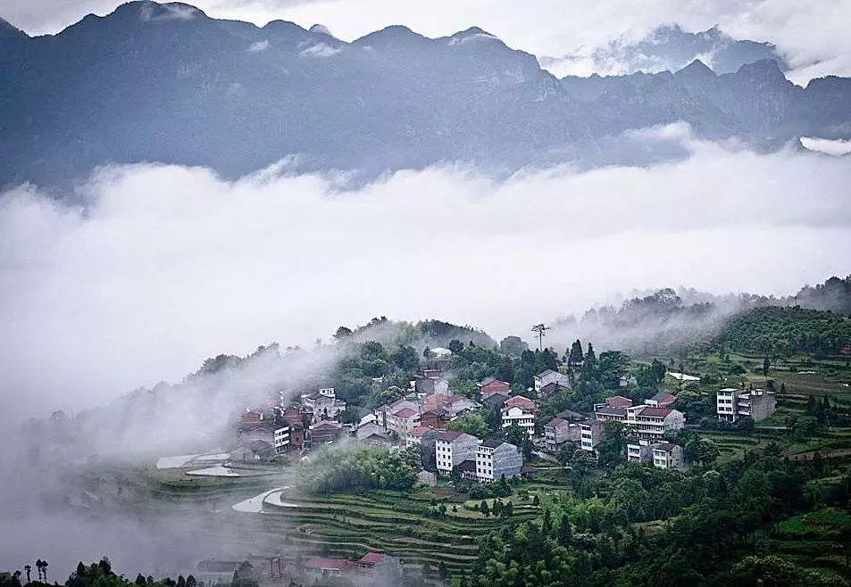 六月初夏这些梯田太美了,春耕时节田园如画图片