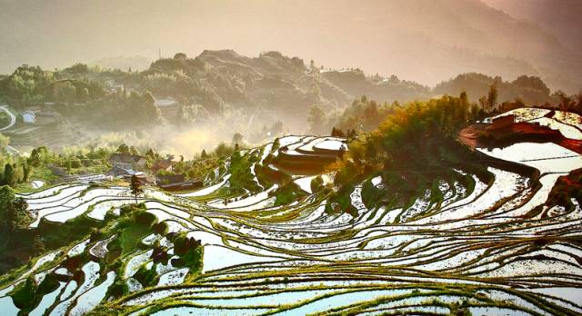 六月初夏这些梯田太美了,春耕时节田园如画图片