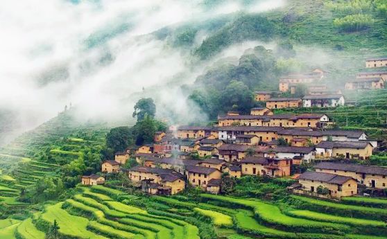 六月初夏这些梯田太美了,春耕时节田园如画图片