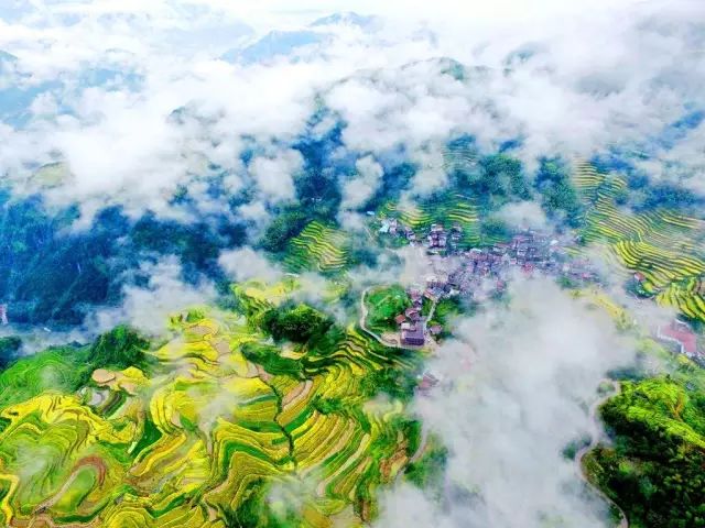 六月初夏这些梯田太美了,春耕时节田园如画图片