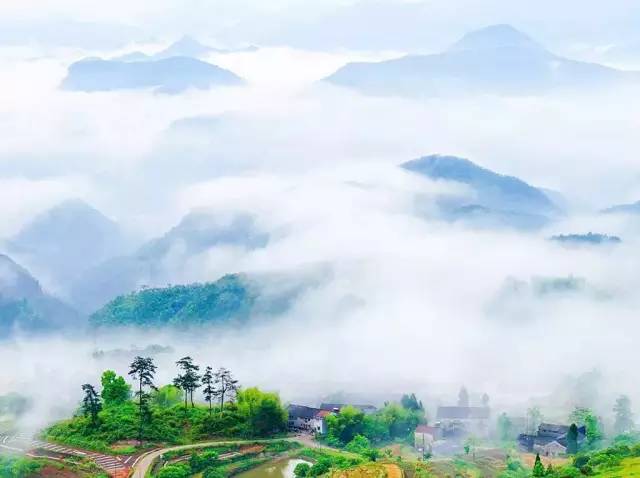 六月初夏这些梯田太美了,春耕时节田园如画图片