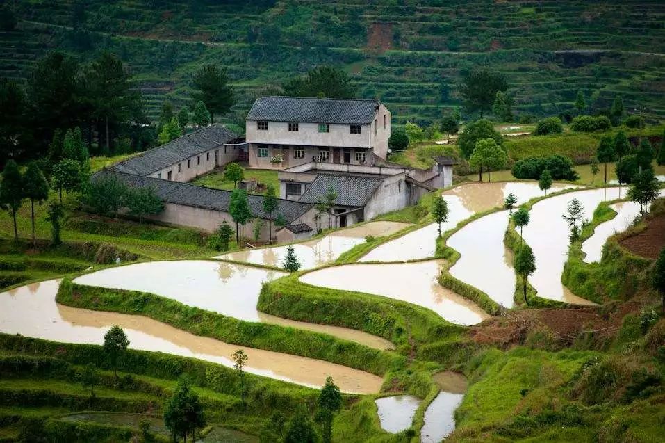 六月初夏这些梯田太美了,春耕时节田园如画图片