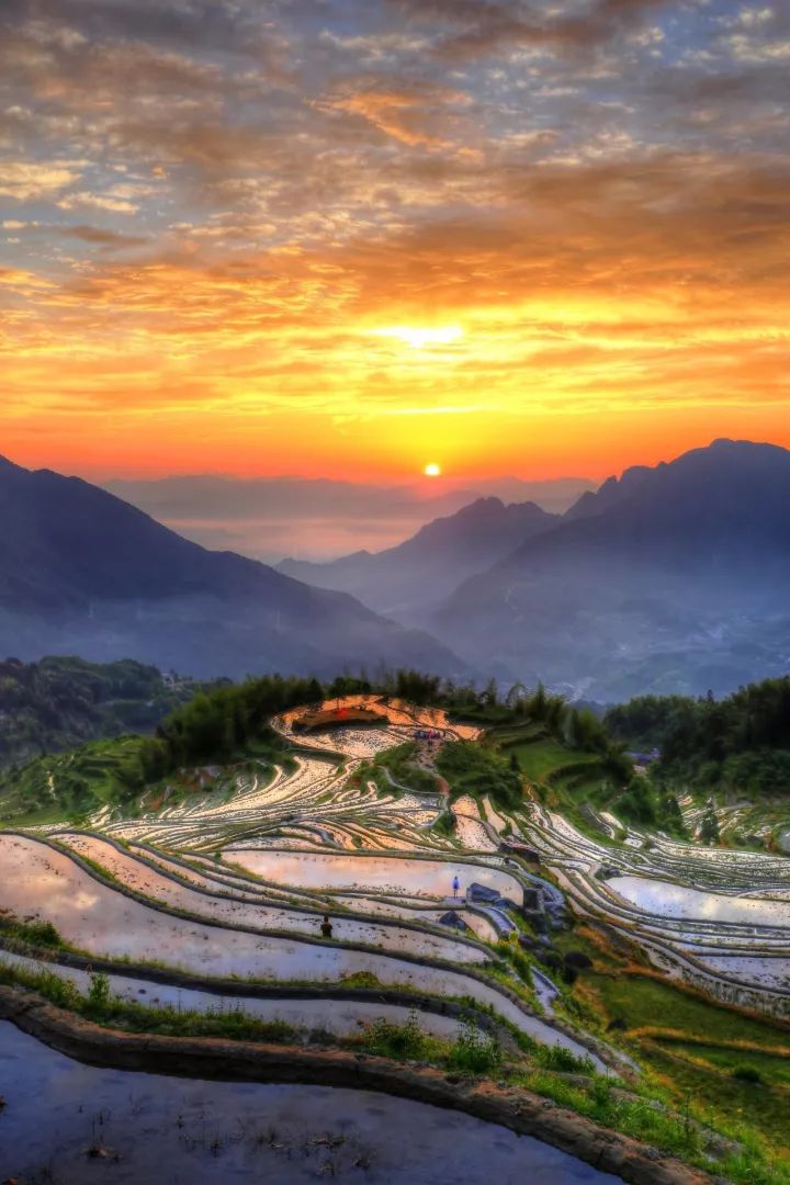 六月初夏这些梯田太美了,春耕时节田园如画图片