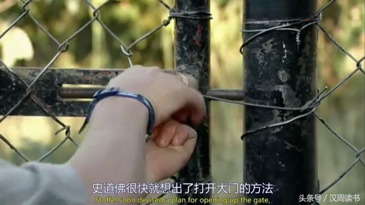 非洲平头哥张狂不是我的本性但是惹我就等于自杀