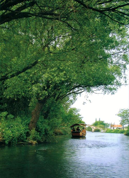 嘉兴嘉善美丽城市,美丽浙江嘉兴嘉善