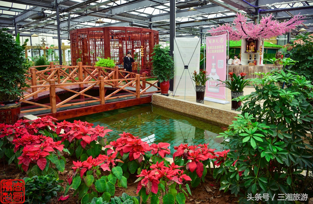 株洲生态休闲农庄生态餐饮,株洲野生鱼饭店