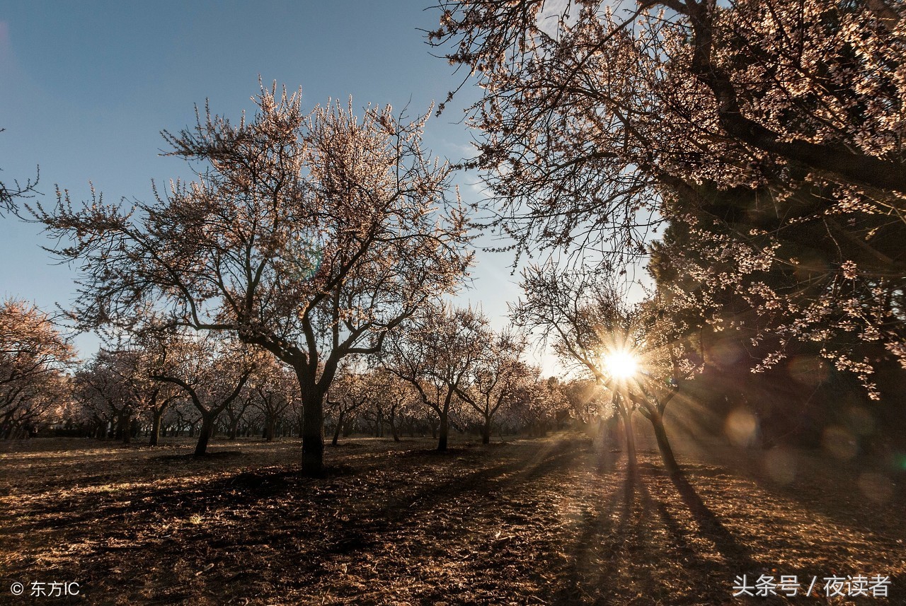 皮外伤的最好偏方,我以为时间是最好的偏方表情包
