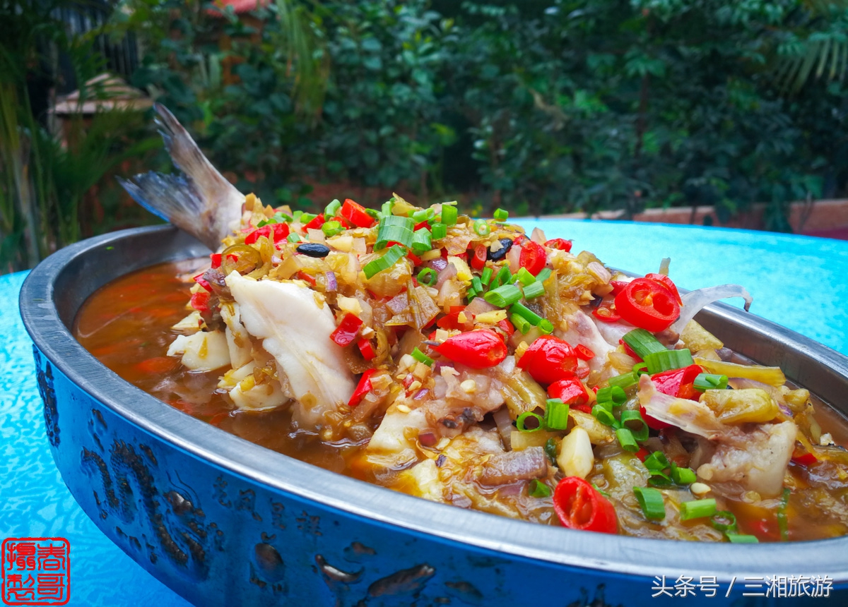 株洲生态休闲农庄生态餐饮,株洲野生鱼饭店