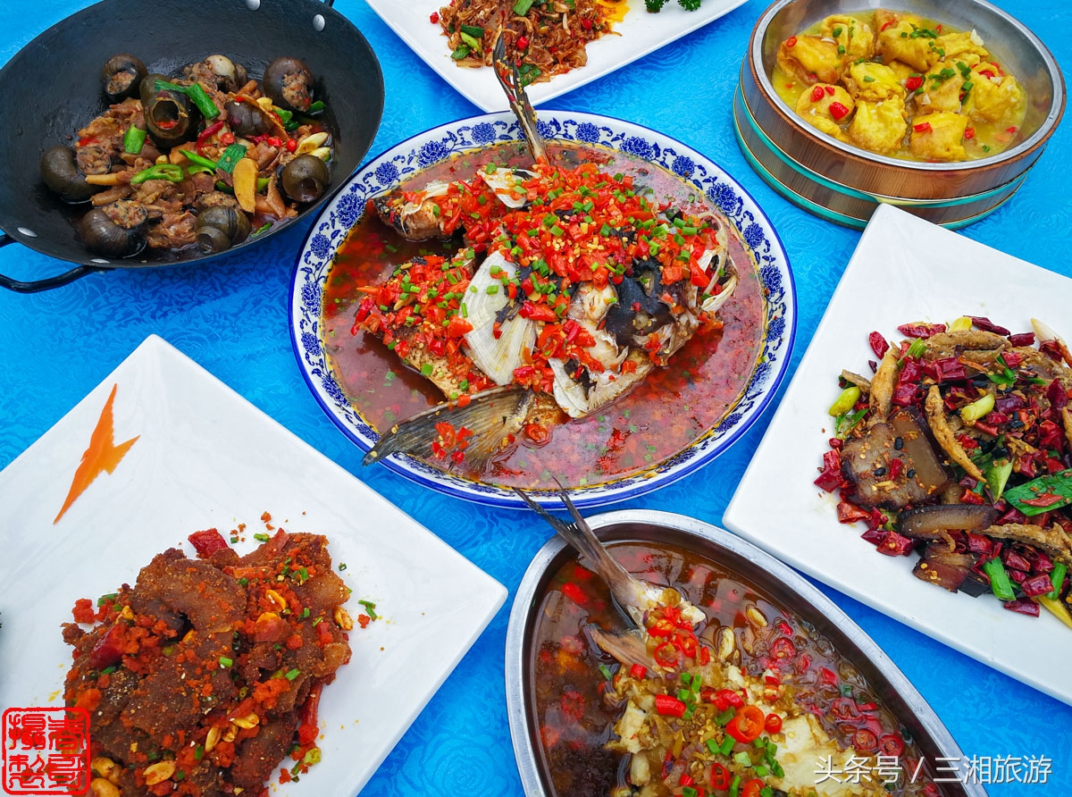 株洲生态休闲农庄生态餐饮,株洲野生鱼饭店