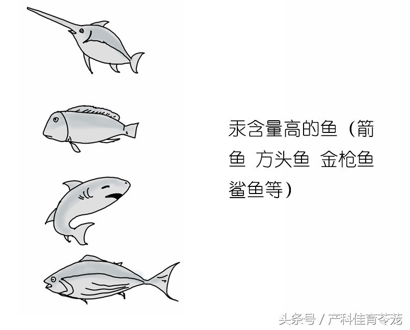 怀孕了吃什么不好,怀孕了吃什么不长胎