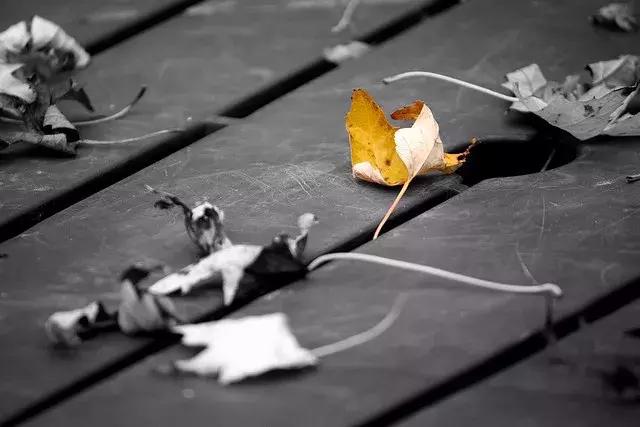 手机怎么修图让照片更通透,黑白局部彩色照片图片