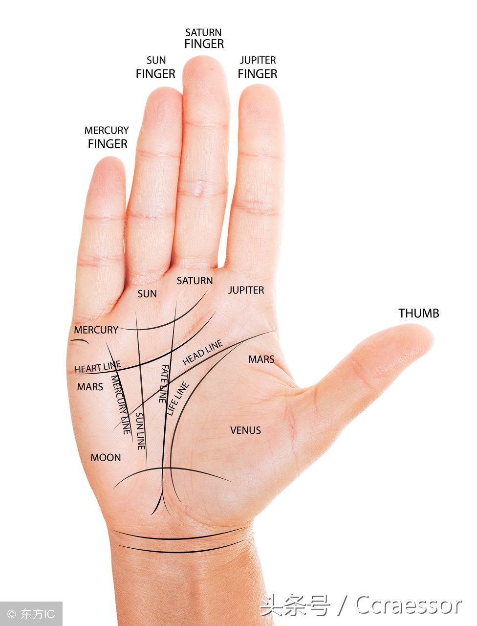 五龙作穴横、直、飞、潜、回穴变多岐高忽而低亦低而