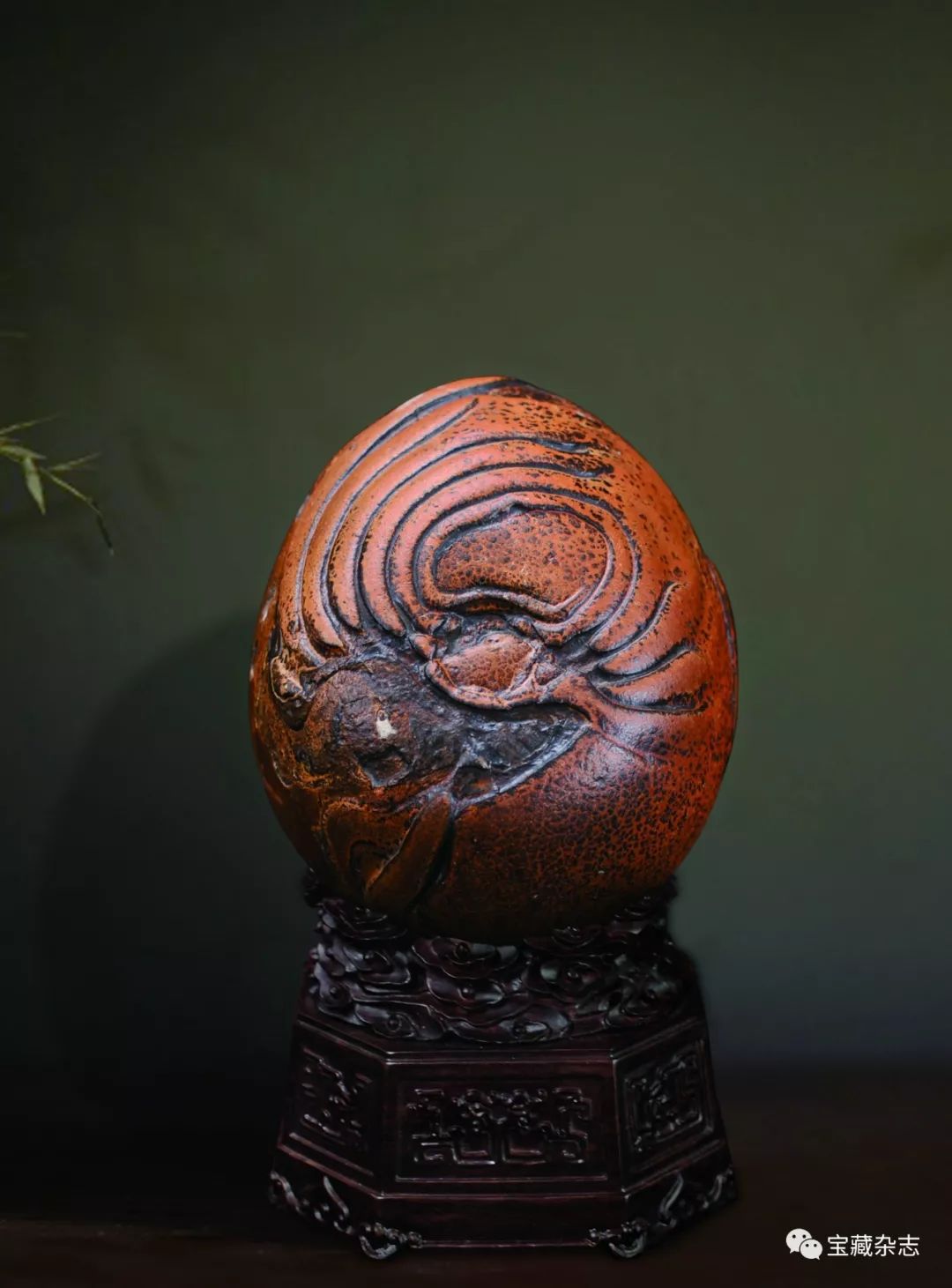 最新观察:非洲石登上销售排行榜榜首