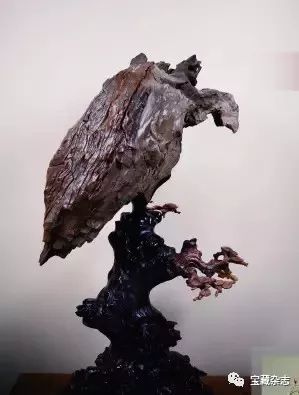 最新观察:非洲石登上销售排行榜榜首