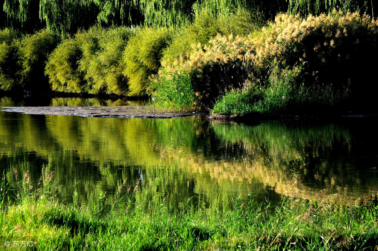 心力衰竭患者真实案例,心力衰竭治疗原则及用药