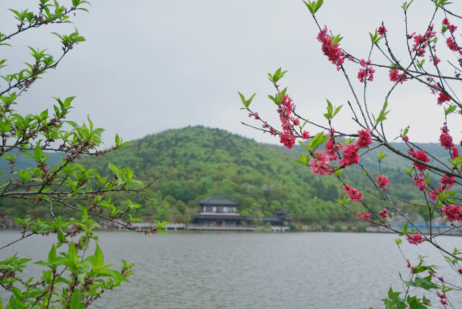 苏州群山最高之峰,苏南第一峰海拔高度