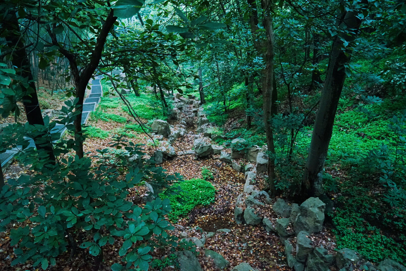 苏州群山最高之峰,苏南第一峰海拔高度
