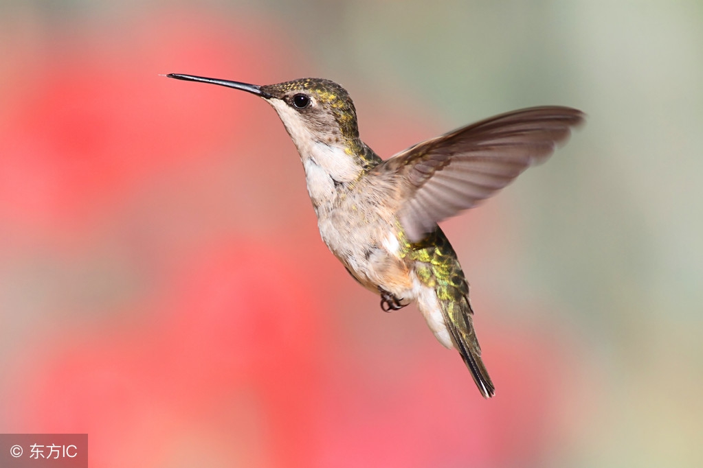 100个神奇趣味冷知识,8个超有趣的冷知识省钱又省力