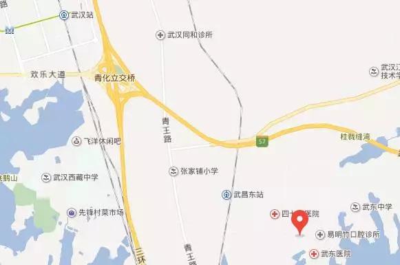 2021武汉民办高中升学率怎么样,武汉民办初中升学率排名