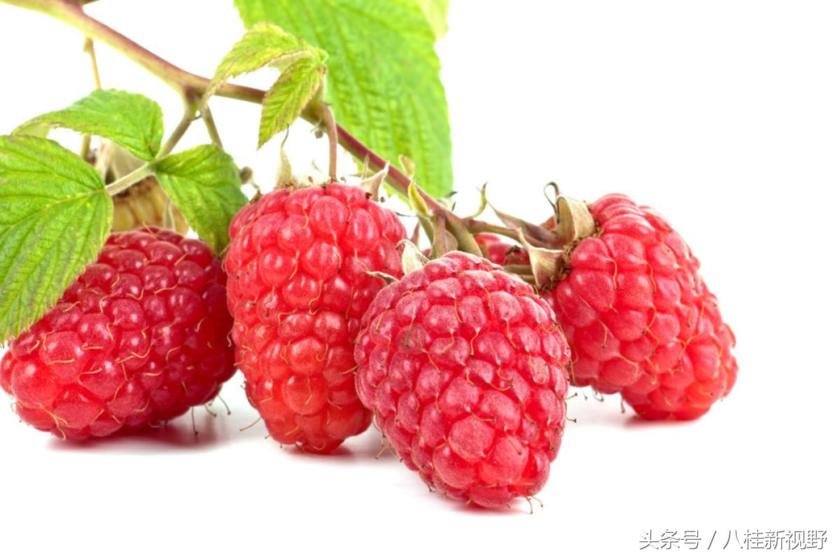 “多子多孙”补肾第一名方：五子衍宗丸