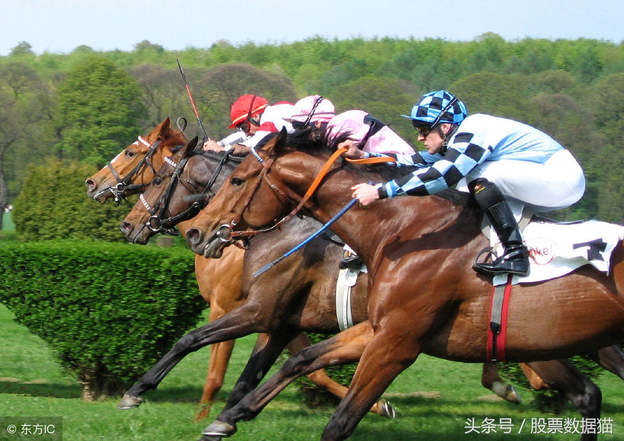 追高被套与主力齐飞,追高两年的变化