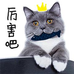 韩国护肤品铅超标有哪些,国货崛起的背后是不是消费降级