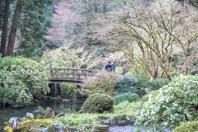 *麻大**合法还免税？国人不熟悉的美国波特兰竟然这么好玩！