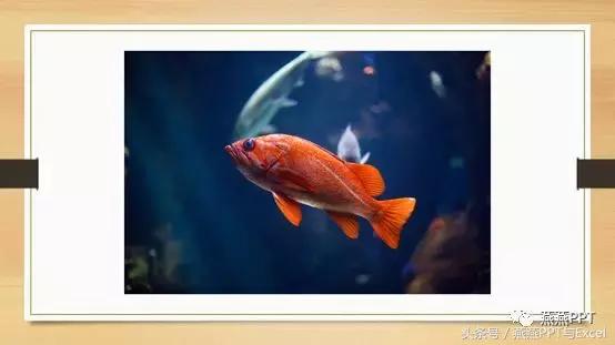 ppt构图格式,ppt构图颜色